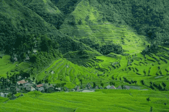 Admirables paysans qui transformèrent les montagnes de Bali en garde-manger…